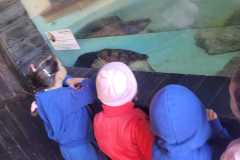 WhatsApp-Image-2025-08-15-at-17.27.18-2