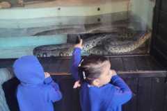 WhatsApp-Image-2025-08-15-at-17.27.18-3