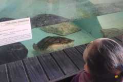 WhatsApp-Image-2025-08-15-at-17.27.18