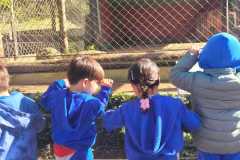 WhatsApp-Image-2025-08-15-at-17.27.19-1