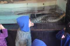 WhatsApp-Image-2025-08-15-at-17.27.19