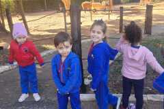 WhatsApp-Image-2025-08-15-at-17.27.20