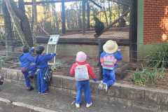 WhatsApp-Image-2025-08-15-at-17.27.21-1