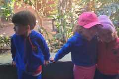 WhatsApp-Image-2025-08-15-at-17.31.48-1