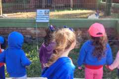 WhatsApp-Image-2025-08-15-at-17.31.48-2