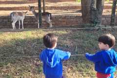 WhatsApp-Image-2025-08-15-at-17.31.48-3