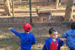 WhatsApp-Image-2025-08-15-at-17.31.48-4