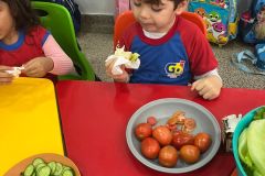 WhatsApp-Image-2025-06-17-at-15.14.45