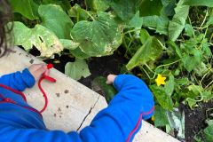 WhatsApp-Image-2025-06-17-at-15.14.53