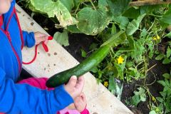 WhatsApp-Image-2025-06-17-at-15.14.55