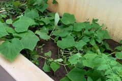 WhatsApp-Image-2025-06-17-at-15.14.56