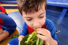 WhatsApp-Image-2025-12-03-at-07.50.18-2