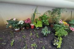 WhatsApp-Image-2025-12-03-at-07.50.20-2