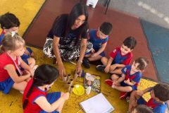 WhatsApp-Image-2025-04-09-at-12.30.05-2