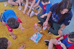 WhatsApp-Image-2025-04-09-at-12.30.08-1