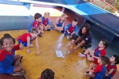 WhatsApp-Image-2025-04-09-at-12.30.09-1