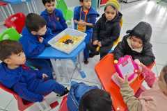 WhatsApp-Image-2025-05-30-at-08.37.00-2