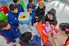 WhatsApp-Image-2025-05-30-at-08.37.00-3