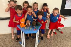 WhatsApp-Image-2025-02-27-at-11.22.05