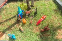 WhatsApp-Image-2025-02-28-at-16.11.45-2