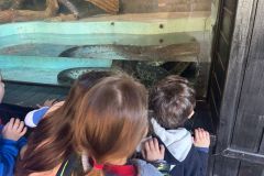 WhatsApp-Image-2025-08-13-at-11.21.48