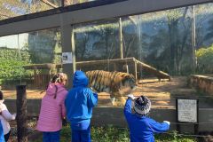 WhatsApp-Image-2025-08-13-at-11.21.53-1