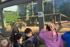 WhatsApp-Image-2025-08-13-at-11.21.53