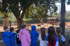 WhatsApp-Image-2025-08-13-at-11.21.55-1