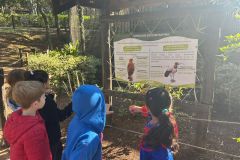 WhatsApp-Image-2025-08-13-at-11.21.55-2