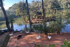 WhatsApp-Image-2025-08-13-at-11.21.55-3