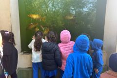 WhatsApp-Image-2025-08-13-at-11.21.55-4