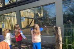 WhatsApp-Image-2025-08-13-at-11.21.55