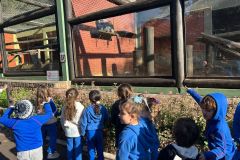 WhatsApp-Image-2025-08-13-at-11.21.57