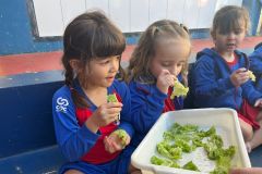 WhatsApp-Image-2025-05-06-at-11.58.44