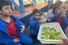 WhatsApp-Image-2025-05-06-at-11.58.45-2