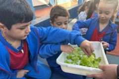 WhatsApp-Image-2025-05-06-at-11.58.45-3