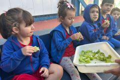 WhatsApp-Image-2025-05-06-at-11.58.45