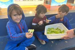 WhatsApp-Image-2025-05-06-at-11.58.46-1