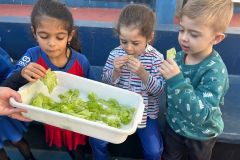 WhatsApp-Image-2025-05-06-at-11.58.46