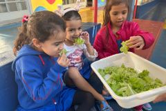 WhatsApp-Image-2025-05-06-at-11.58.47-1