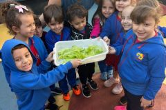 WhatsApp-Image-2025-05-06-at-11.58.47-3