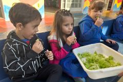 WhatsApp-Image-2025-05-06-at-11.58.47