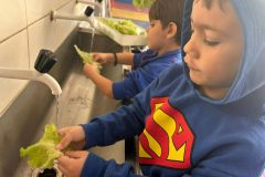 WhatsApp-Image-2025-05-06-at-11.58.48-1