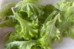 WhatsApp-Image-2025-05-06-at-11.58.48