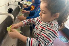 WhatsApp-Image-2025-05-06-at-11.58.49-1