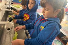 WhatsApp-Image-2025-05-06-at-11.58.49