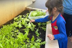 WhatsApp-Image-2025-05-06-at-11.58.50-2