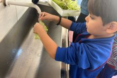 WhatsApp-Image-2025-05-06-at-11.58.50