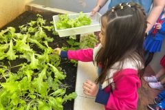 WhatsApp-Image-2025-05-06-at-11.58.51-1