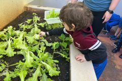 WhatsApp-Image-2025-05-06-at-11.58.51-2